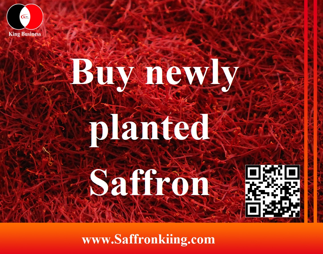 Buy newly planted saffron