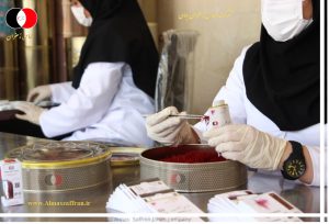 Iranian saffron buying and selling center in Holland