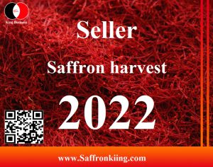 Seller of saffron harvest 2022